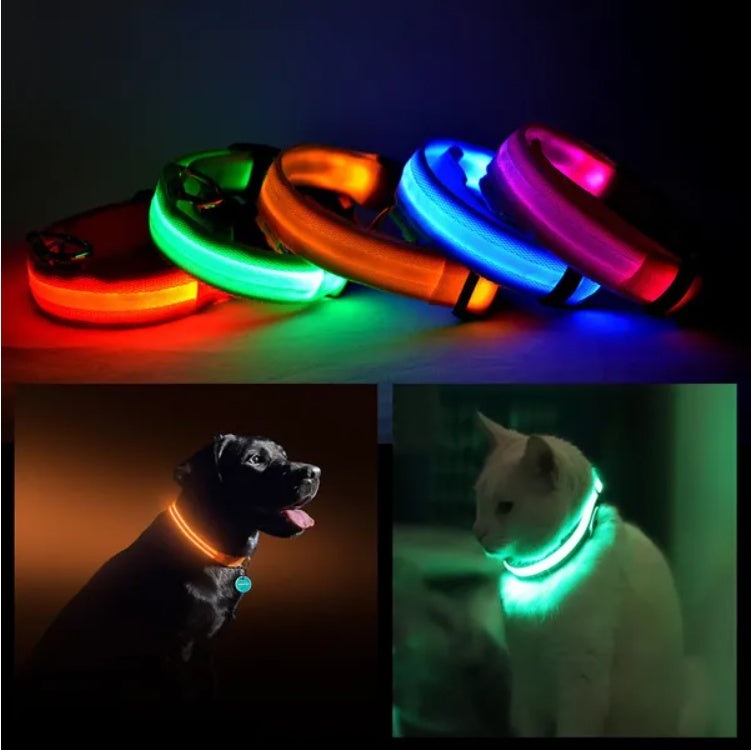 LED halo pet collar with multi-color glowing light strips (blue, green, pink, orange)