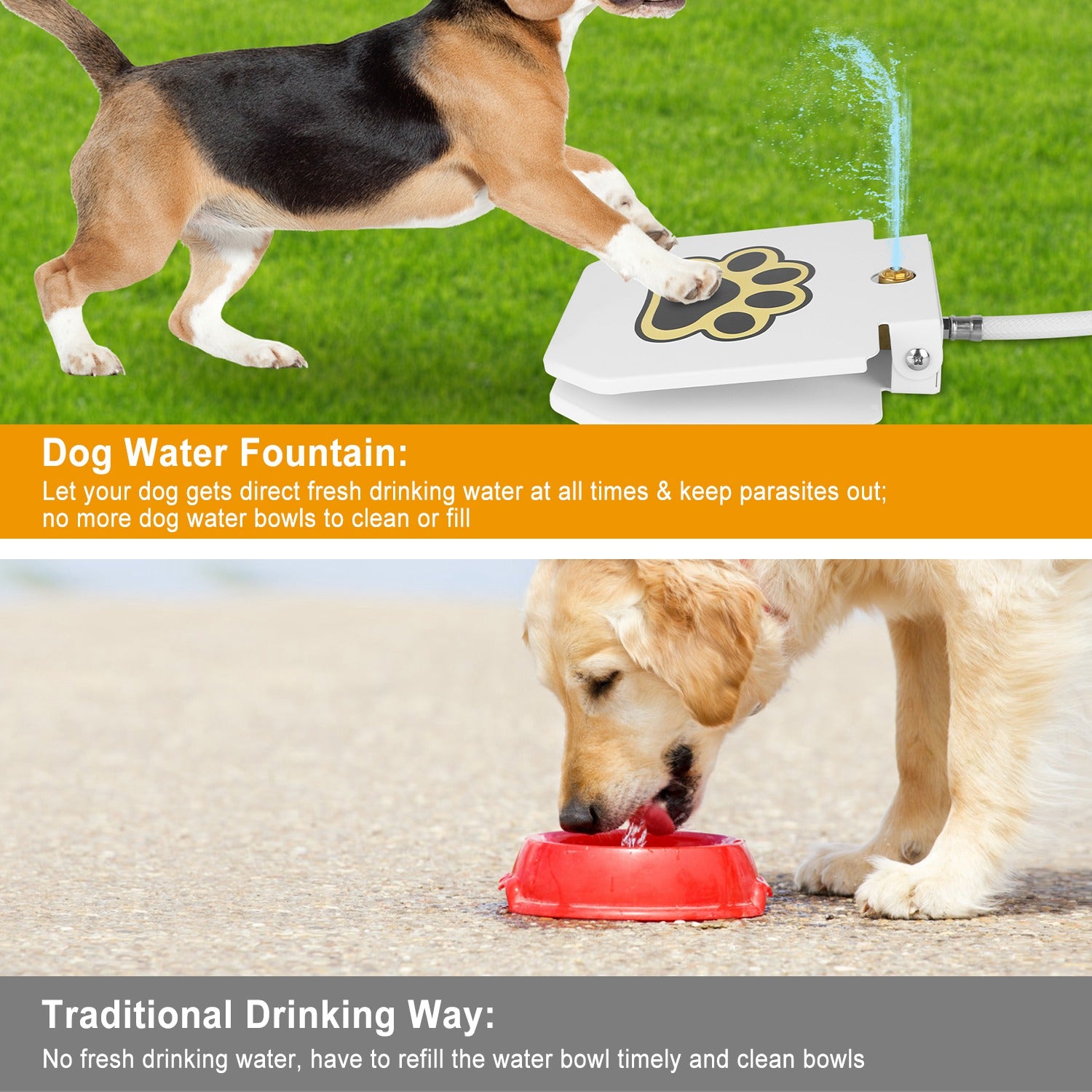 White step-on dog water fountain with paw pedal spraying water
