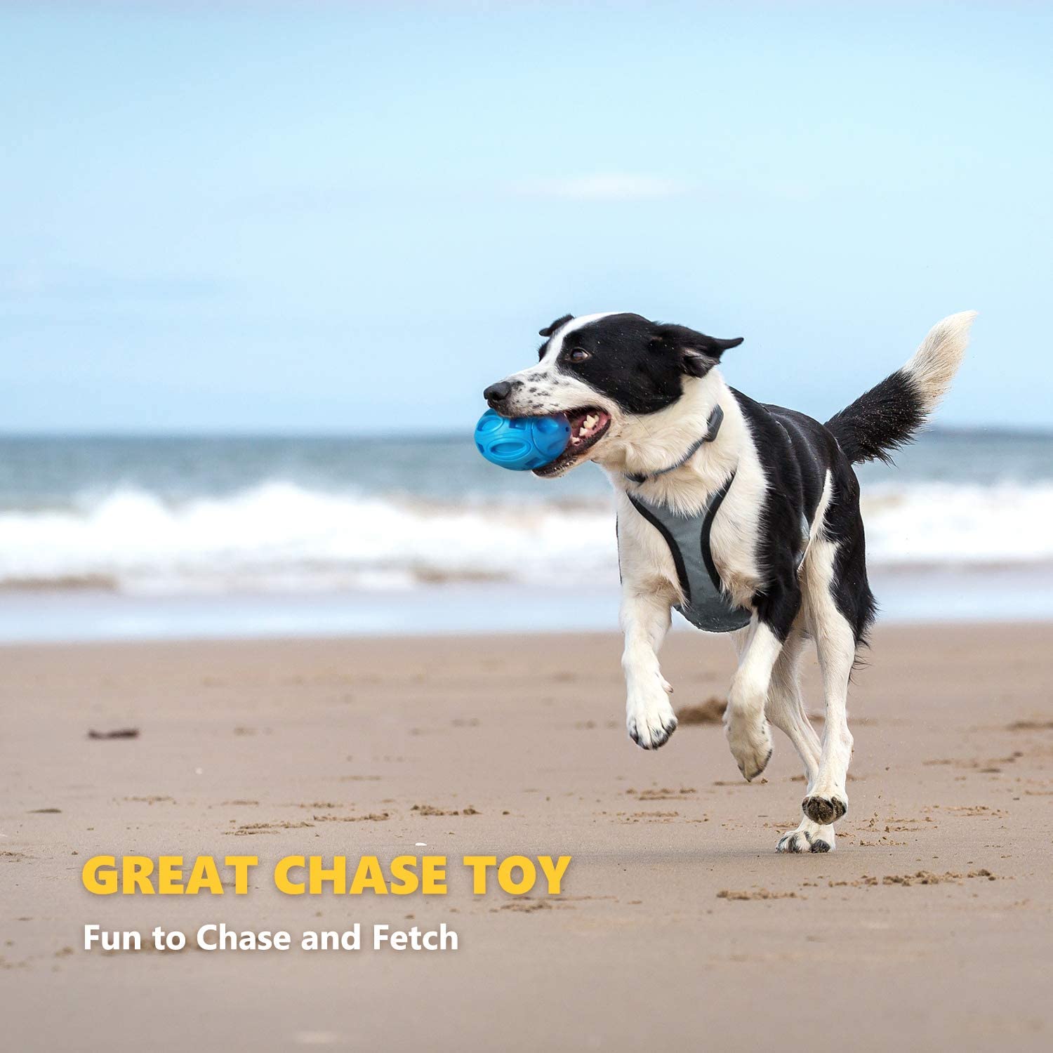 Blue squeaky rubber rugby dog toy ball in a dog’s mouth while running on sand