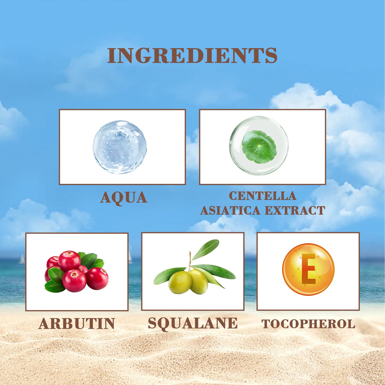 Sunscreen ingredients infographic: aqua, centella asiatica, arbutin, squalane, tocopherol