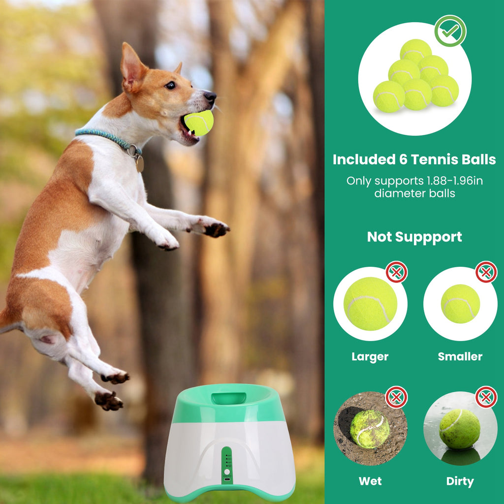 Green and white automatic dog ball launcher with tennis balls shown alongside a dog