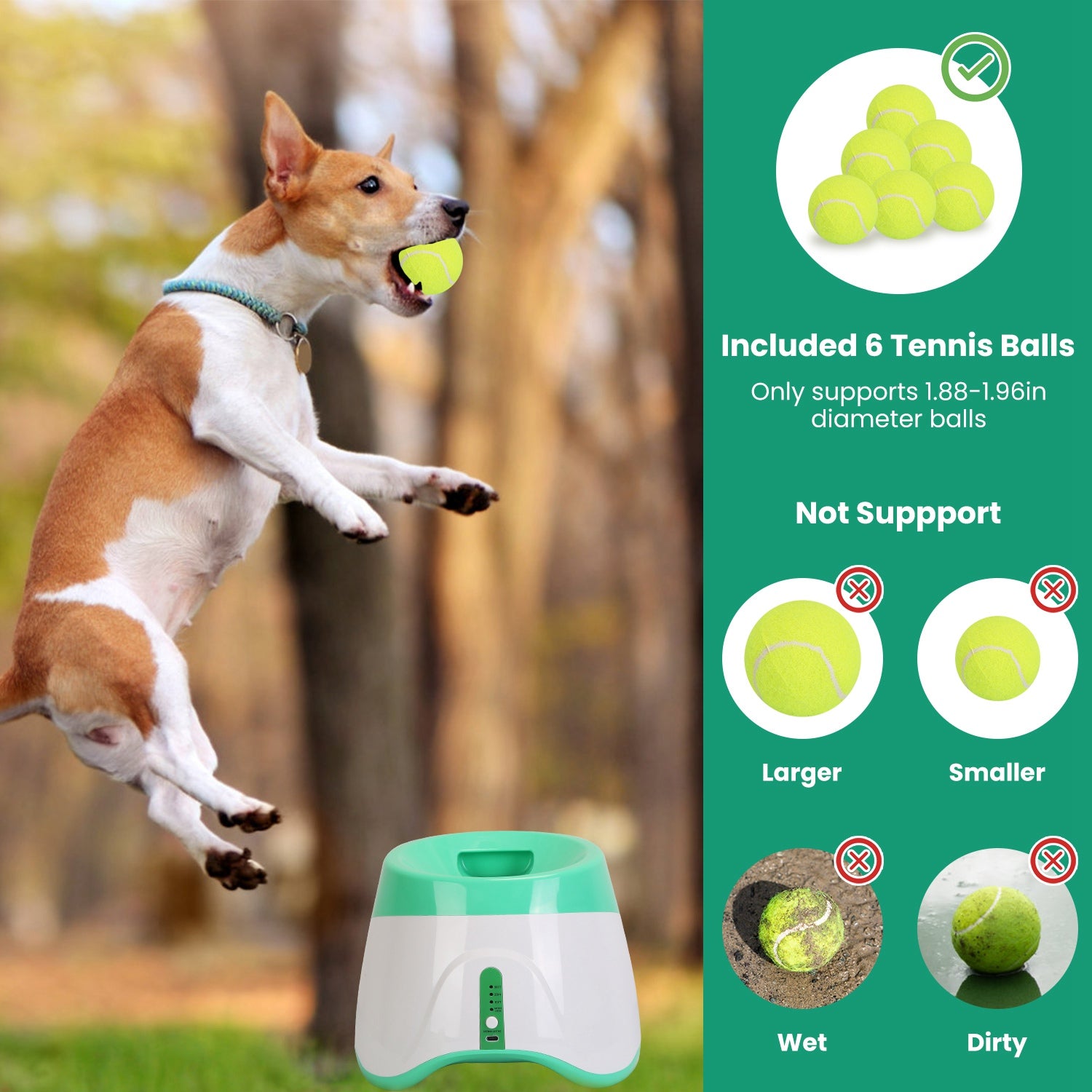 Green and white automatic dog ball launcher with tennis balls shown alongside a dog
