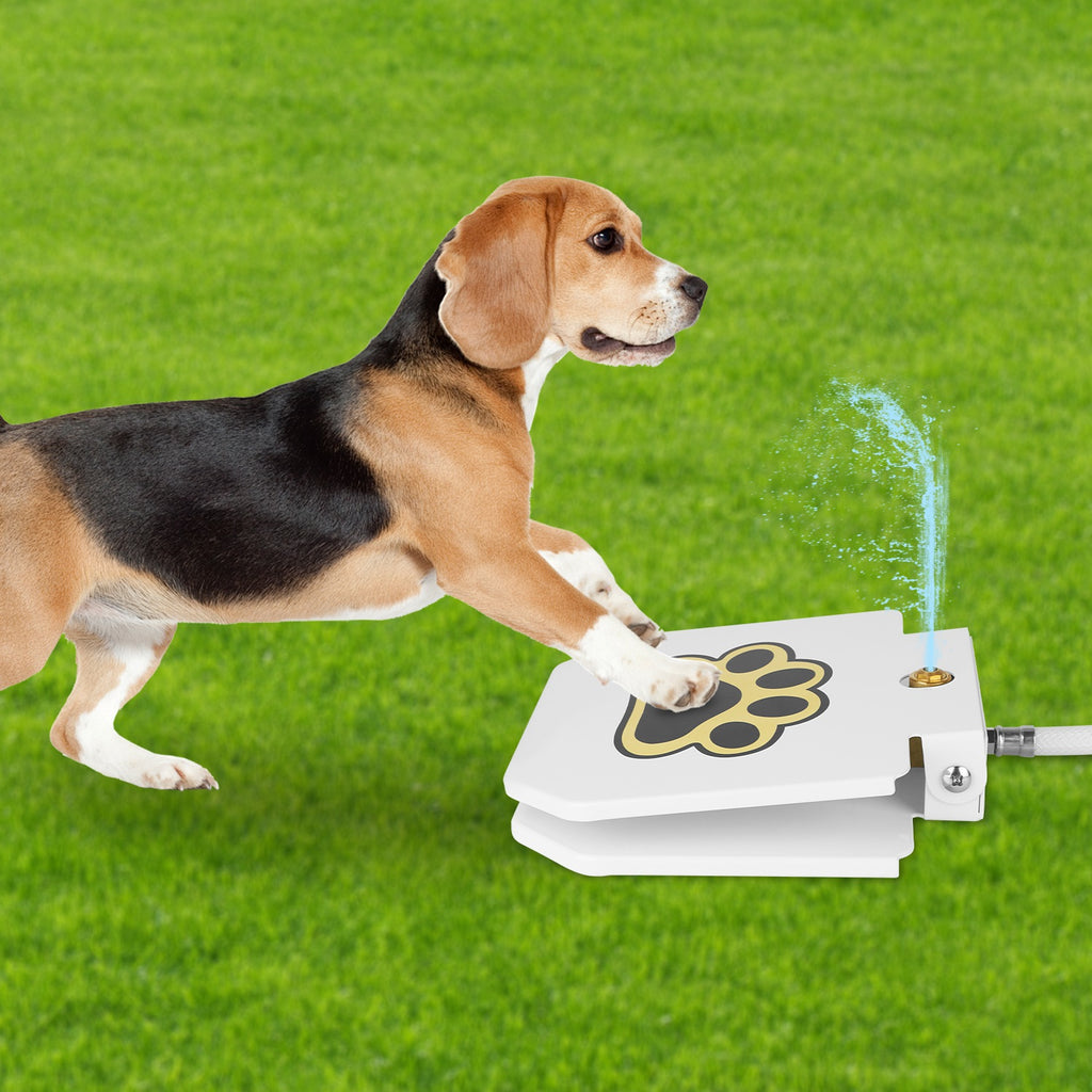 White step-on dog water fountain with paw pedal and water jet beside dog