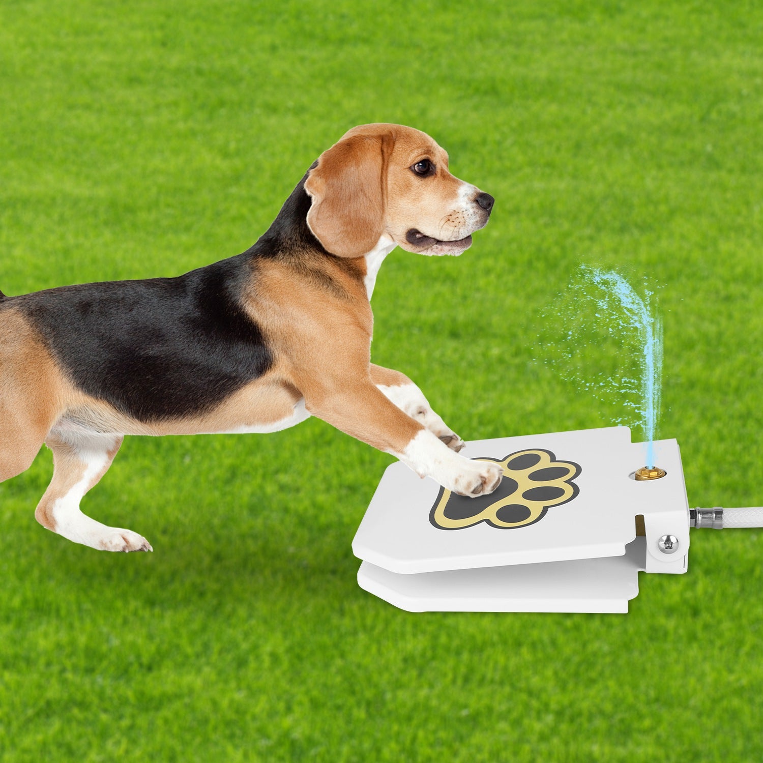 White step-on dog water fountain with paw pedal and water jet beside dog