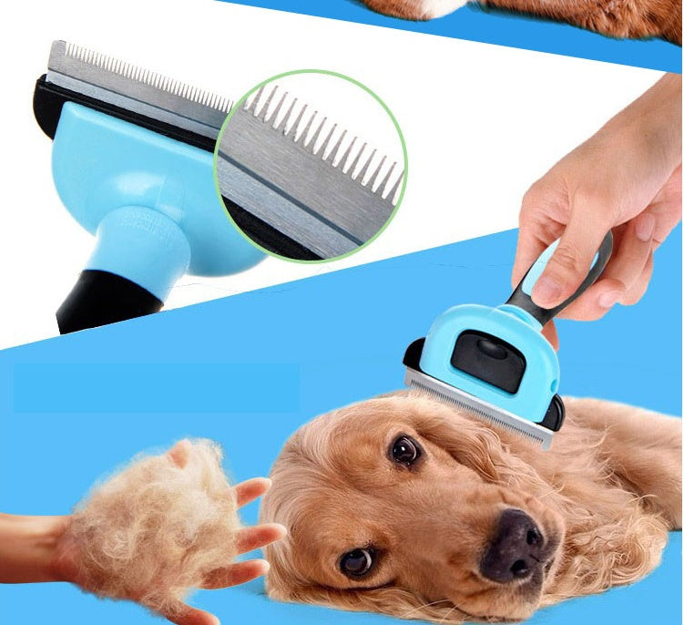 Pet deshedding comb brushing a dog’s curly fur; blue handle and metal teeth.