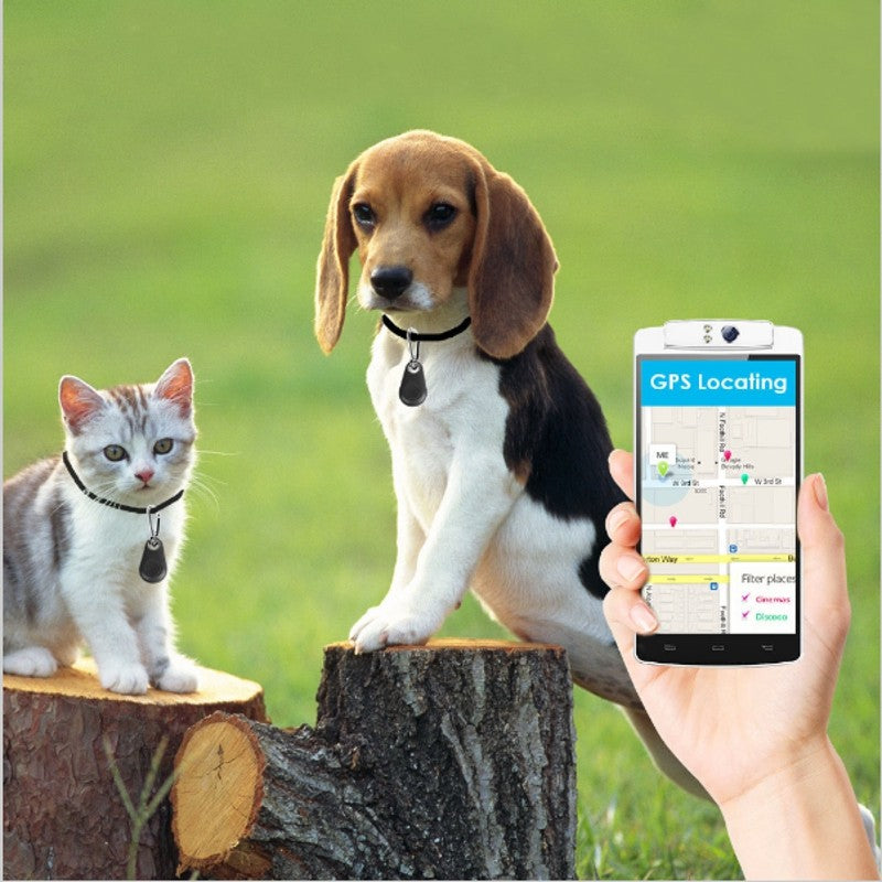 Black Bluetooth tracker key finder on a pet collar