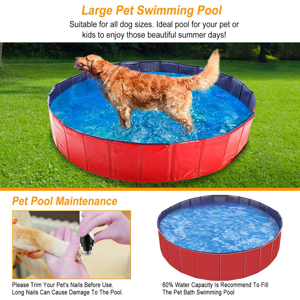 Red foldable pet swimming pool with dark blue rim and dog splashing in blue water