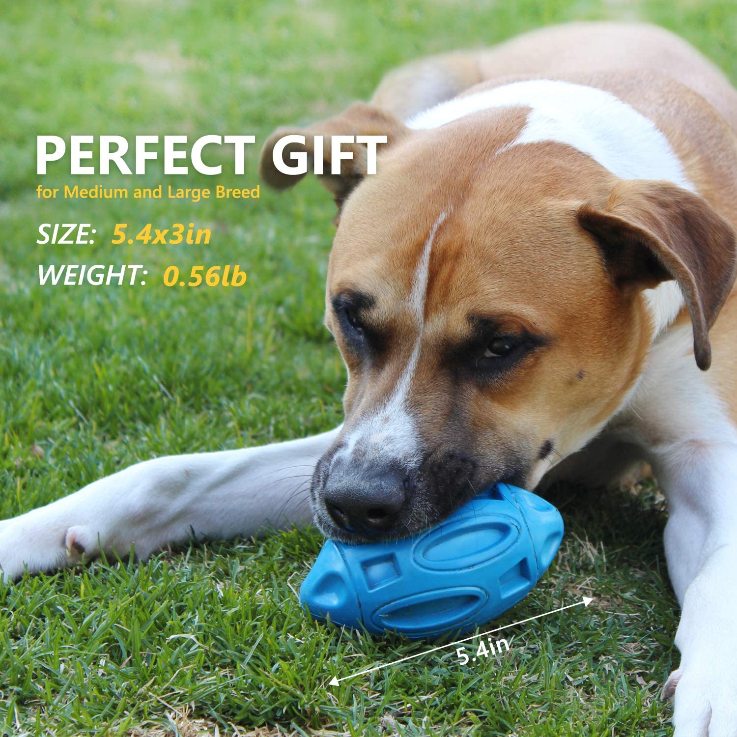 Blue squeaky rubber rugby dog toy ball with textured grips, held in a dog’s mouth