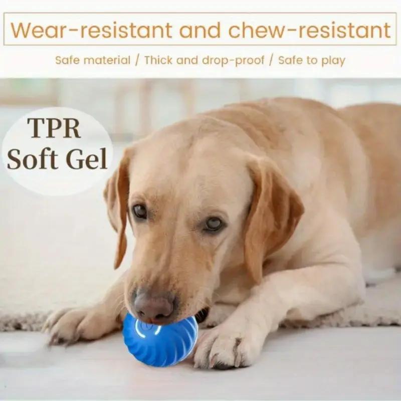 Blue soft gel bouncing jump ball toy in a dog’s mouth area
