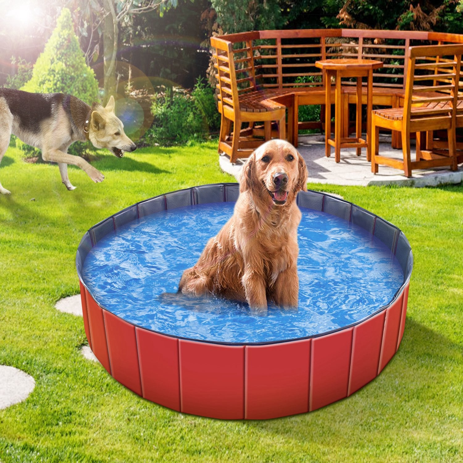Red foldable pet swimming pool with dark blue rim and dog relaxing in blue water