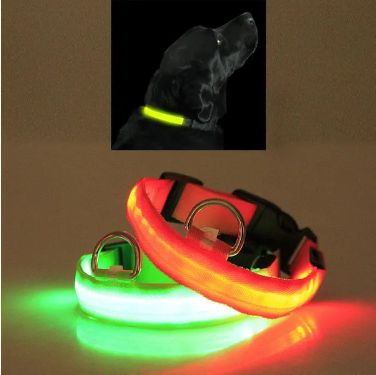 LED halo pet collars with orange, green, and red glowing light strips and metal rings