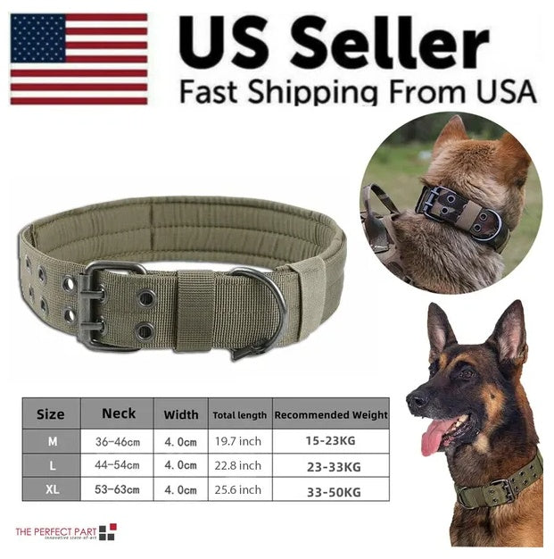 Olive green nylon dog collar with metal buckle and adjustable strap