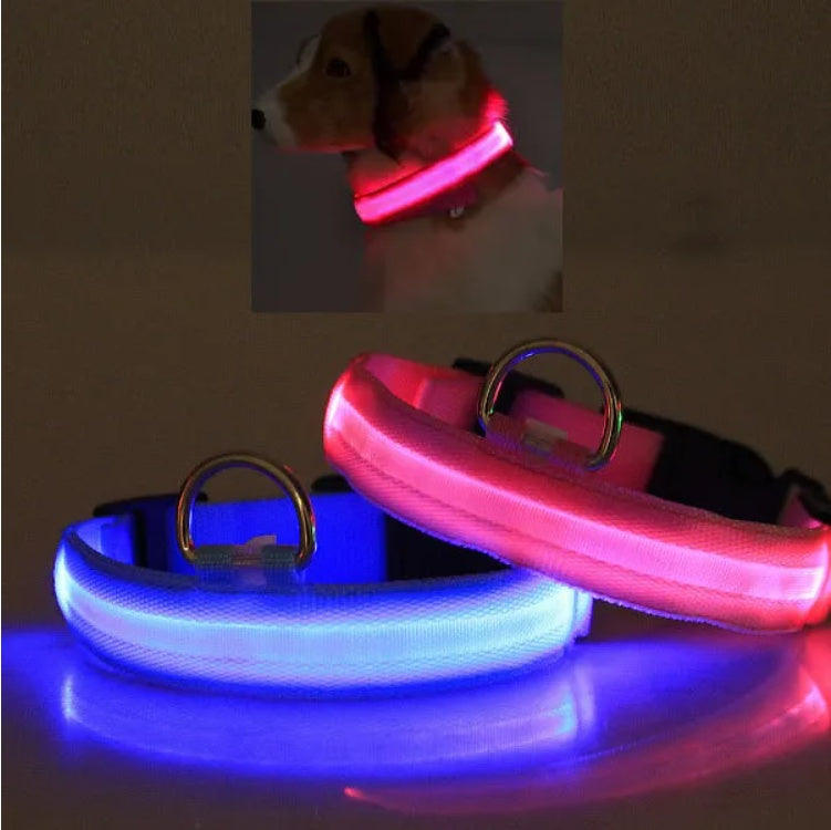 LED halo pet collar with pink and blue glowing light strips and metal D-rings