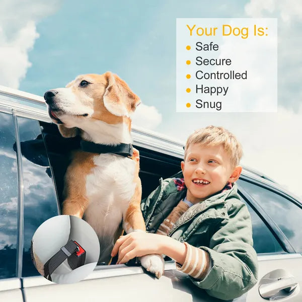 Black adjustable dog seat belt leash for car seat with metal clip attachment