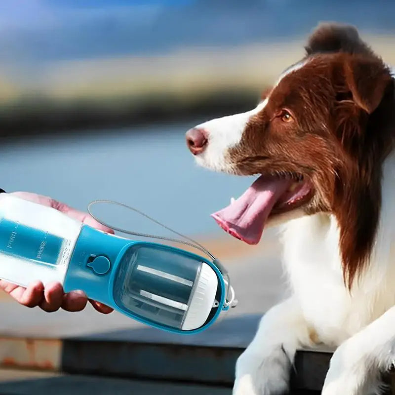 3-in-1 portable pet travel cup offered to a dog, clear drinking spout and lid