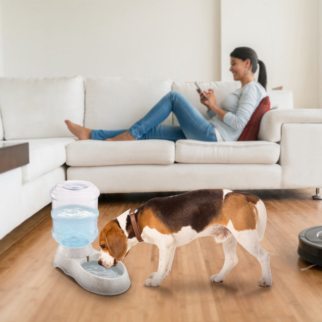 Gravity pet water dispenser with clear reservoir and light gray bowl base