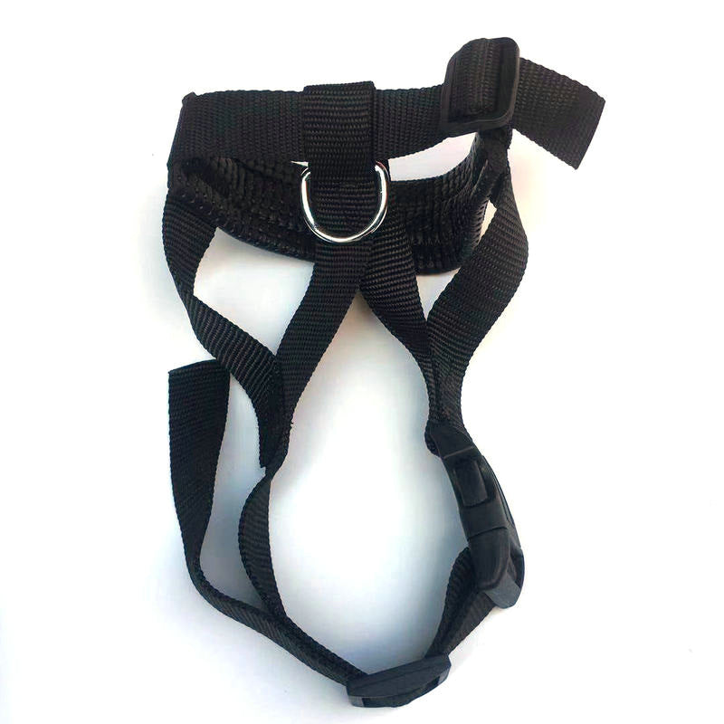Black nylon adjustable dog muzzle with front loop and side straps