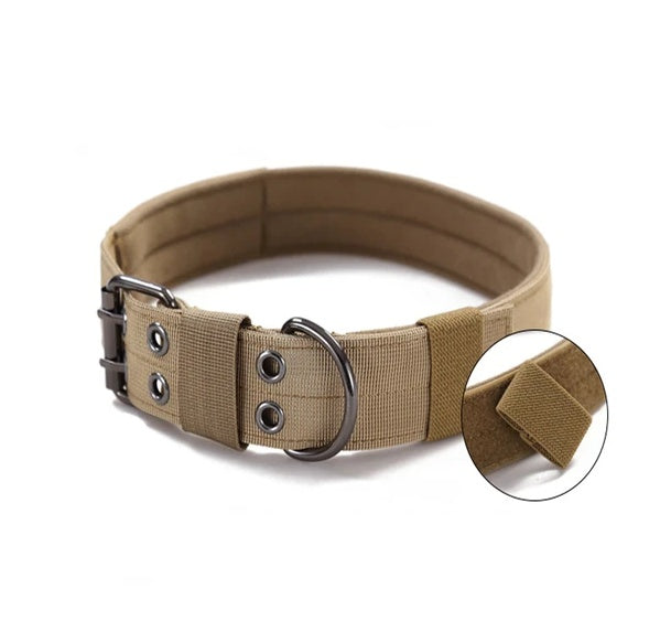 Tan nylon dog collar with round ring buckle and padded end tab