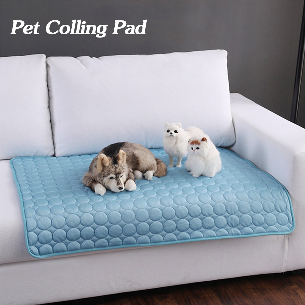 Blue pet cooling pad on a sofa, with small pets resting on top