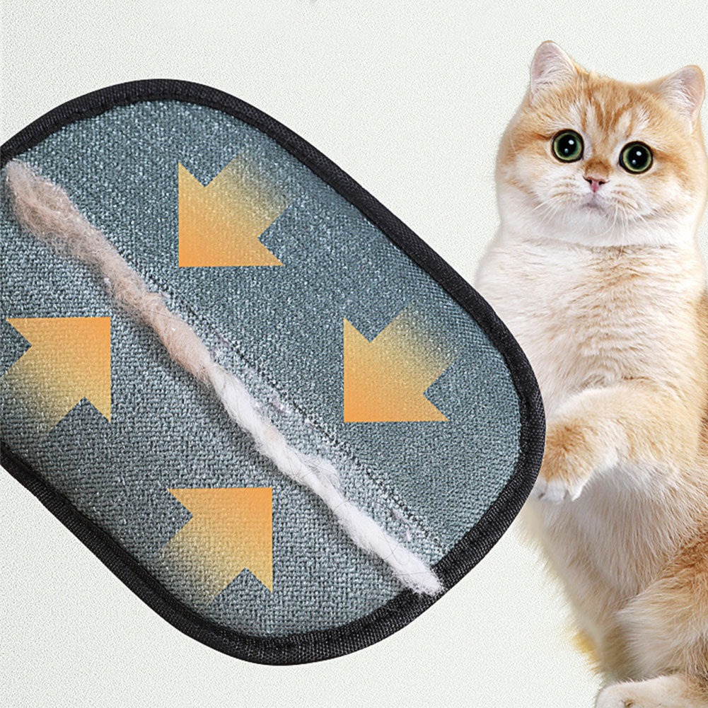 Gray lint-removal pad on a pet deshedding glove with black edge trim
