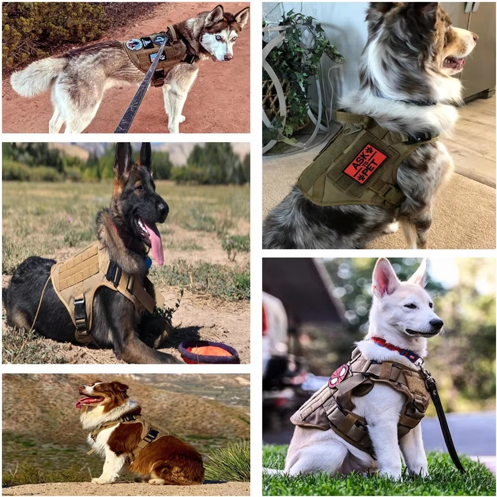 Dogs wearing tactical nylon dog harnesses with padded vests and adjustable straps outdoors