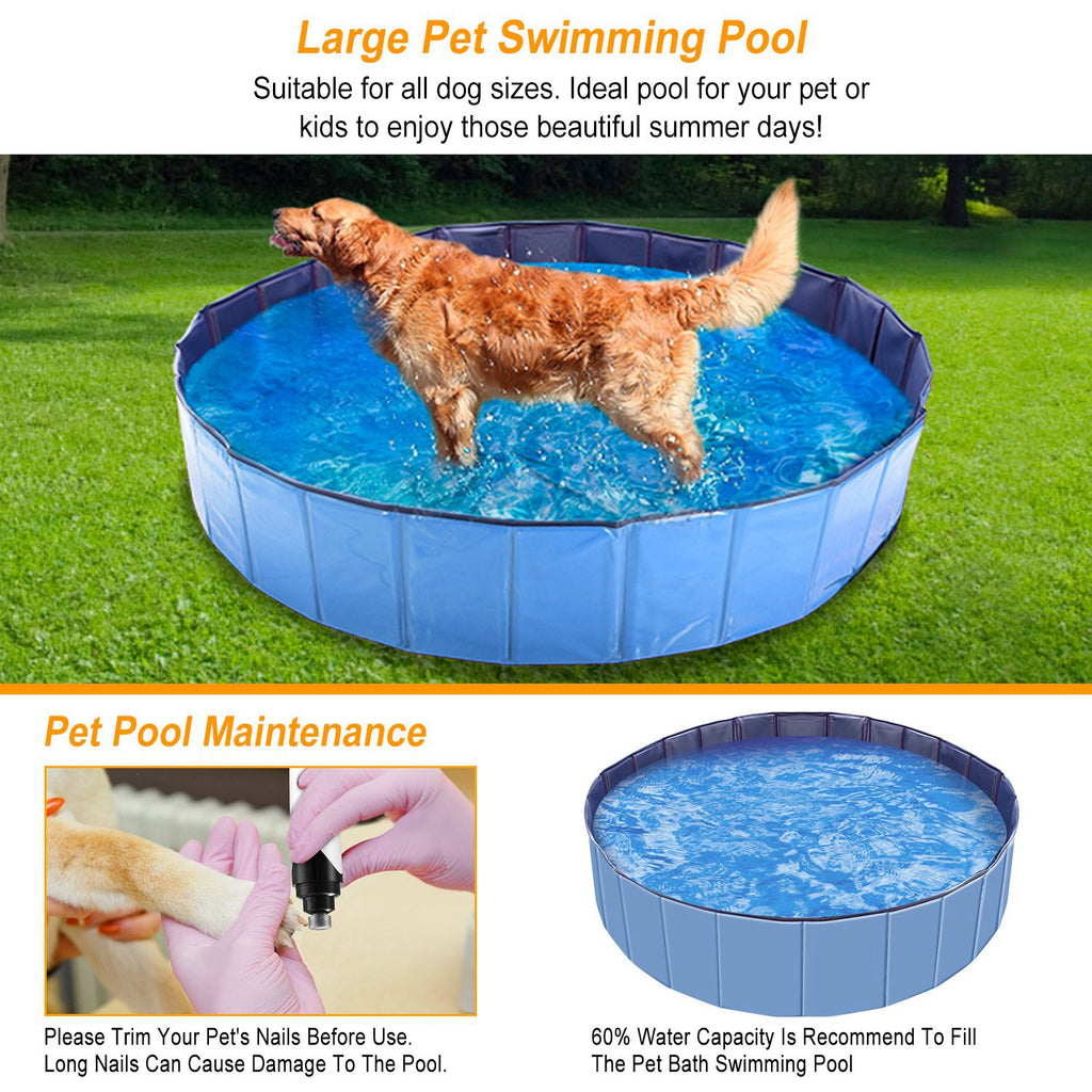 Blue foldable pet swimming pool with dark blue rim and dog splashing in blue water