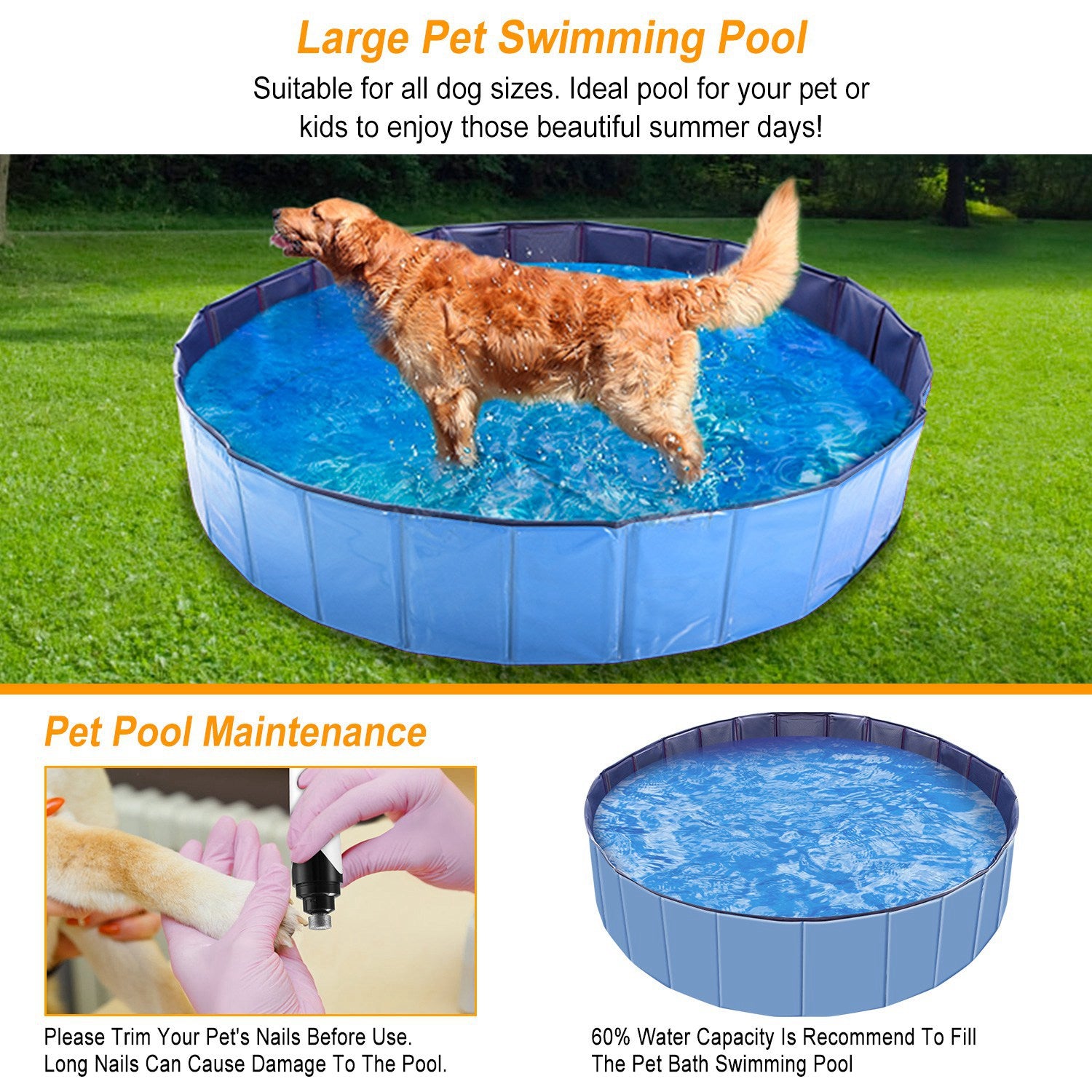 Blue foldable pet swimming pool with dark blue rim and dog splashing in blue water