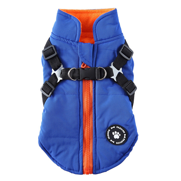 Dog cotton-padded jacket with chest strap and hood, blue with orange zip