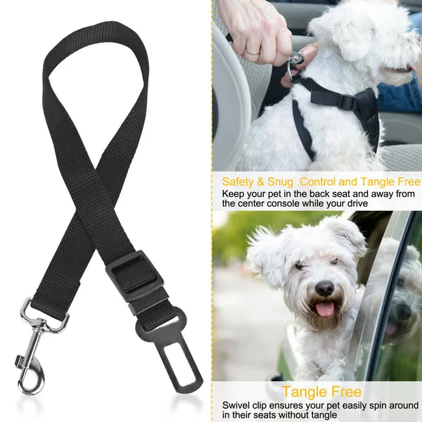 Black adjustable dog seat belt leash with swivel-style metal clips and secure buckle