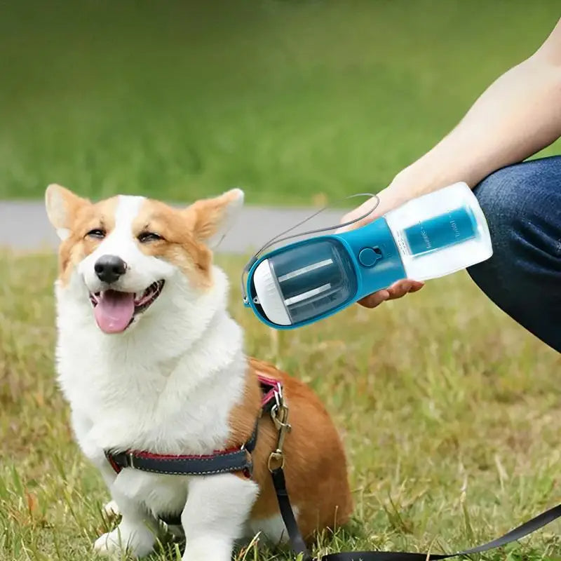 Portable pet travel cup in a person’s hand, dog drinking from the clear spout