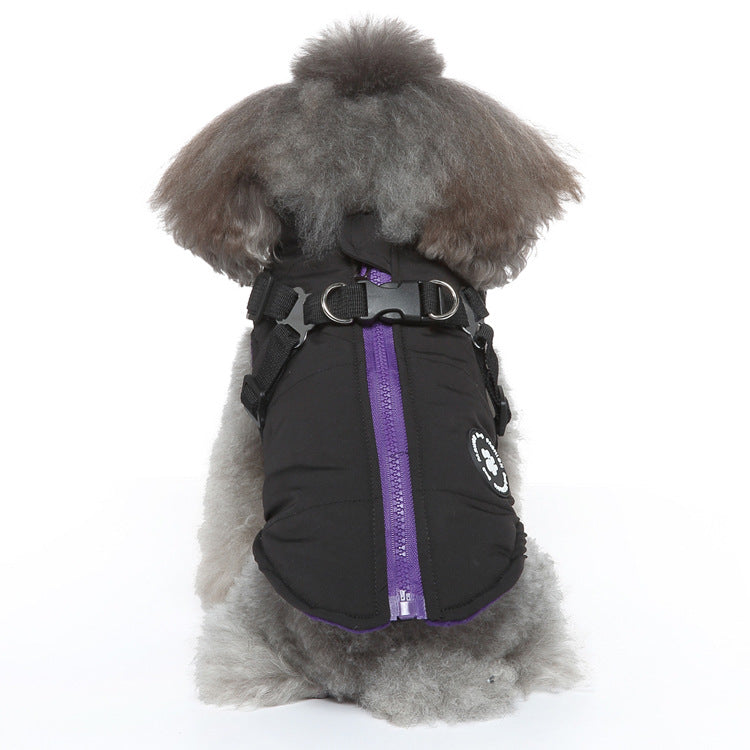 Dog cotton-padded jacket with chest strap and hood, black with purple zip