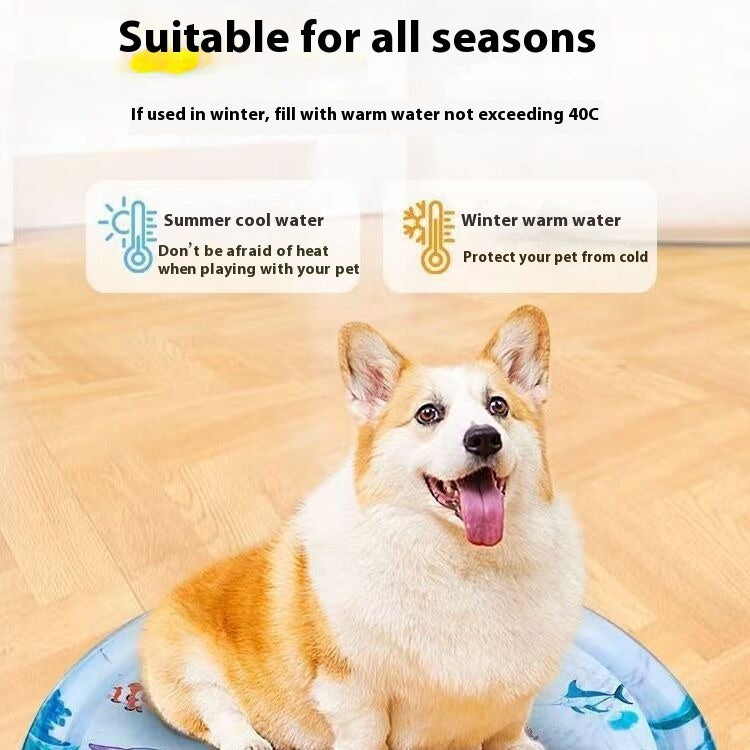 Inflatable pet water cooling bed, round fish print on floor; dog looking at the pad