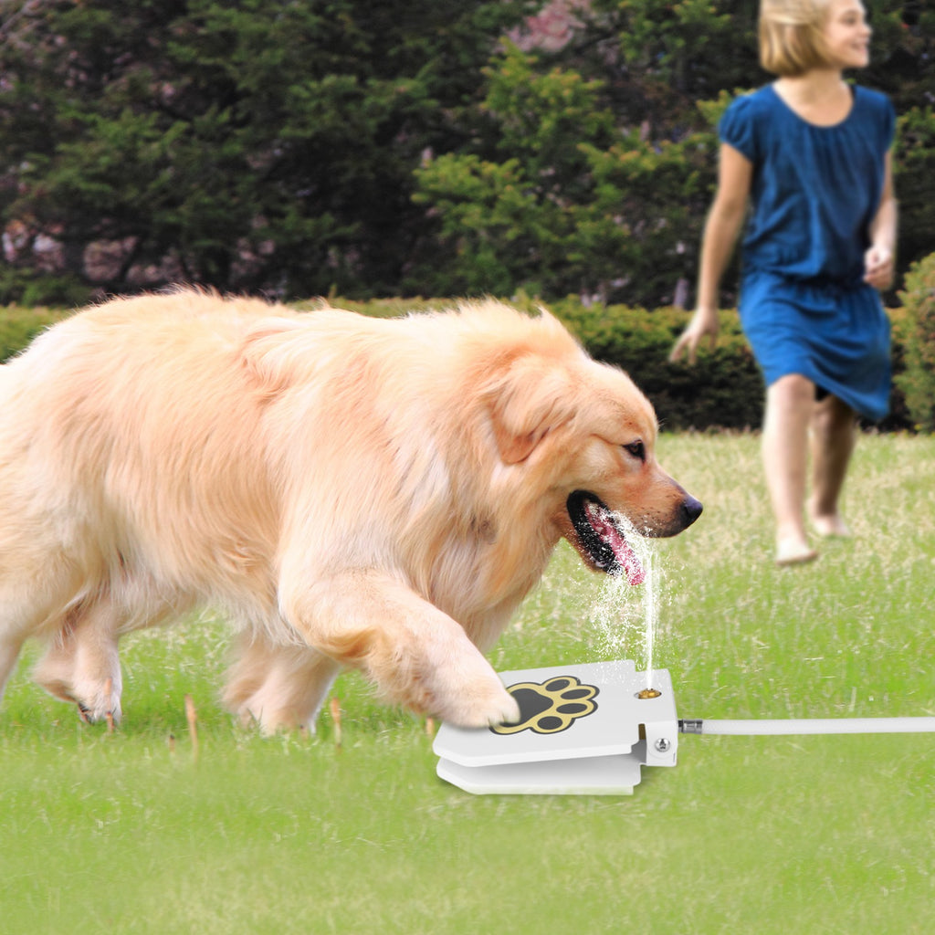 White step-on dog water fountain with paw pedal and water stream