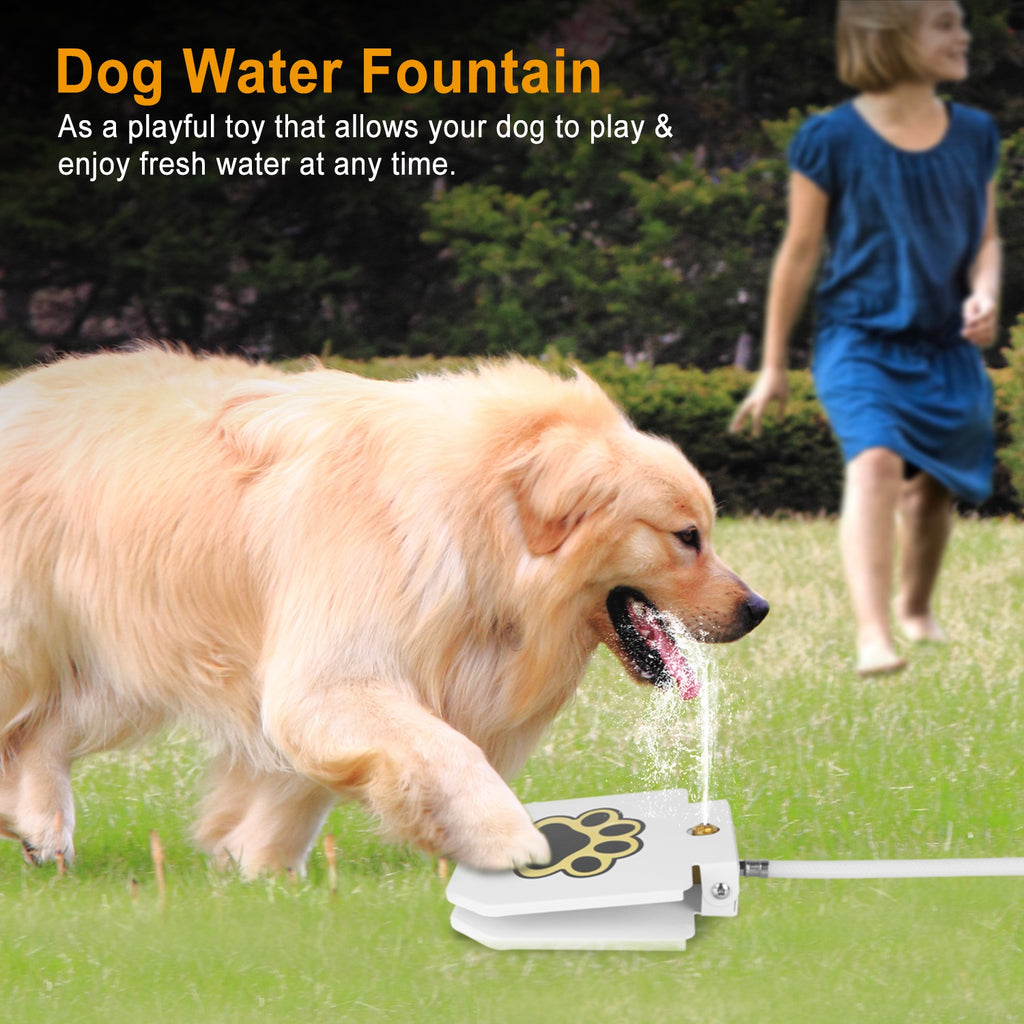 White dog water fountain with paw pedal and flowing water during use