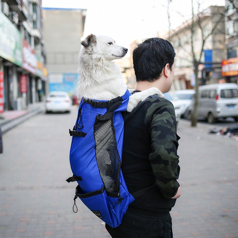 Blue pet carrier backpack with black mesh side panel and adjustable shoulder straps