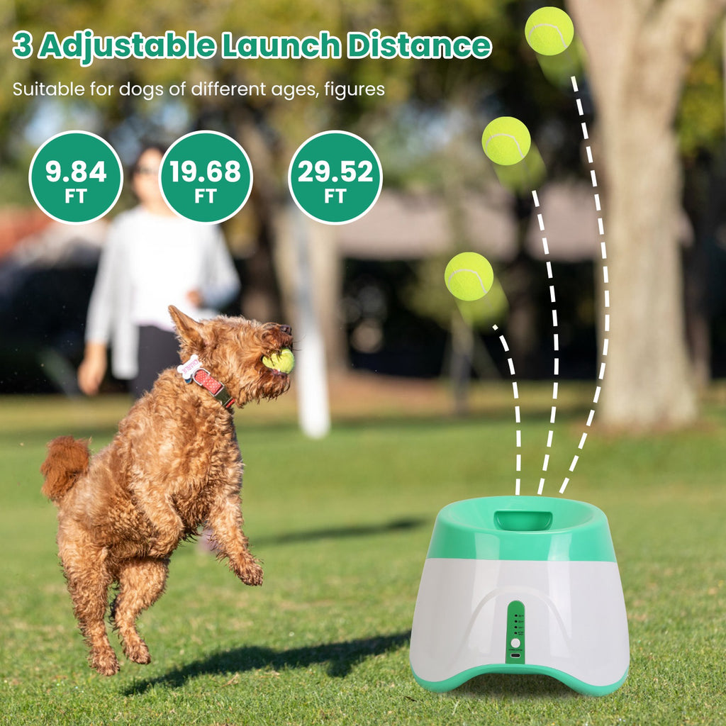 Green and white automatic dog ball launcher with front chute near a running dog