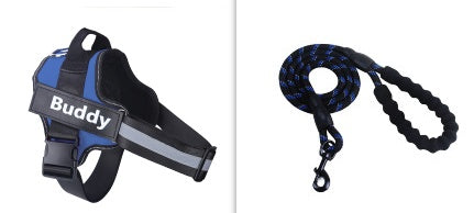 Blue dog harness with chest strap and matching lead, black handle clip, 'Buddy' tag