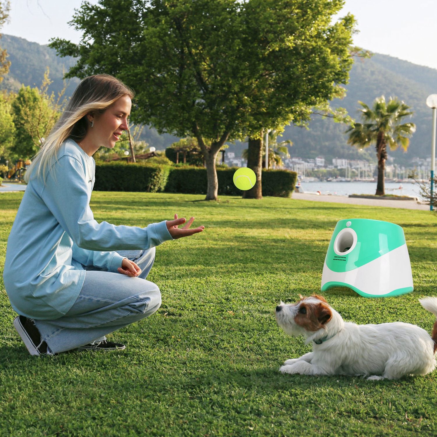 Green and white automatic dog ball launcher with front chute outdoors near a dog