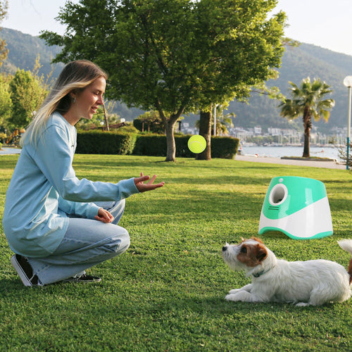 Green and white automatic dog ball launcher with front chute outdoors near a dog