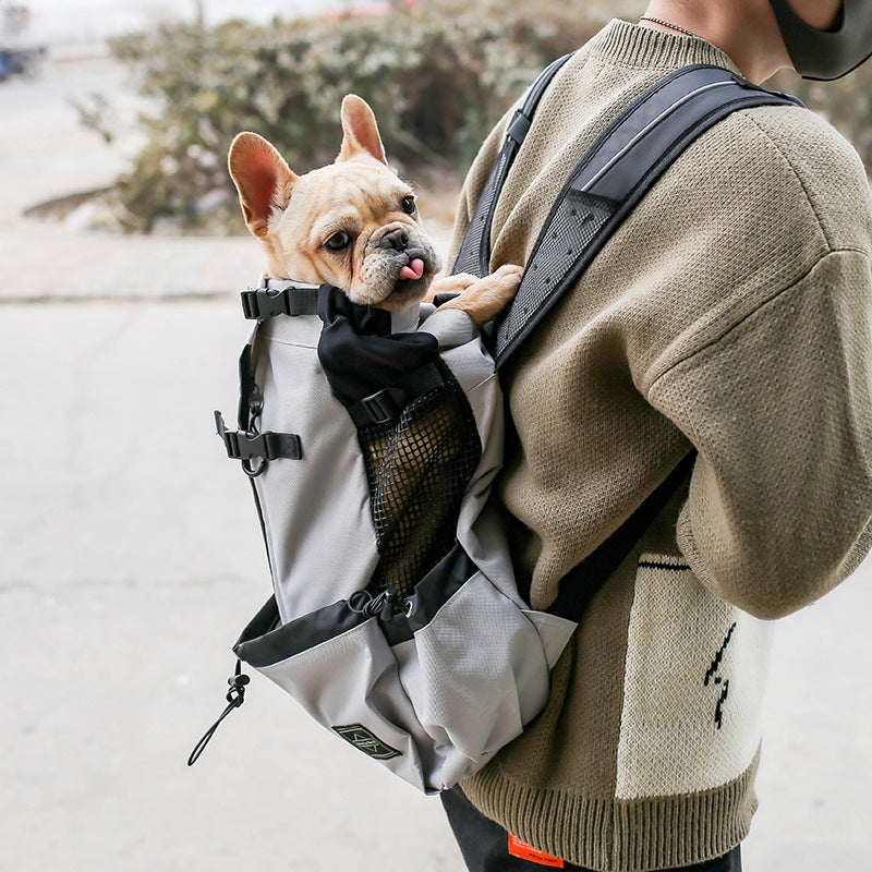 Light gray pet carrier backpack with black mesh pocket and secure adjustable chest straps