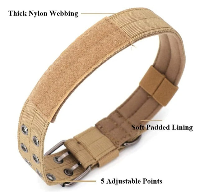 Beige padded nylon dog collar with soft lining and five adjustment holes