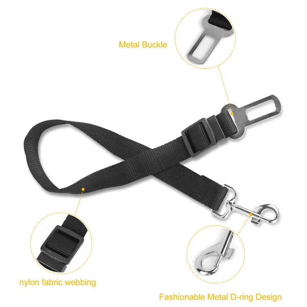Black nylon dog seat belt leash with metal buckle, D-ring, and swivel clips