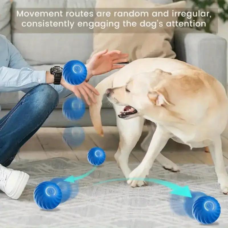 Blue bouncing jump ball toy by dog paw, multiple balls scattered on floor