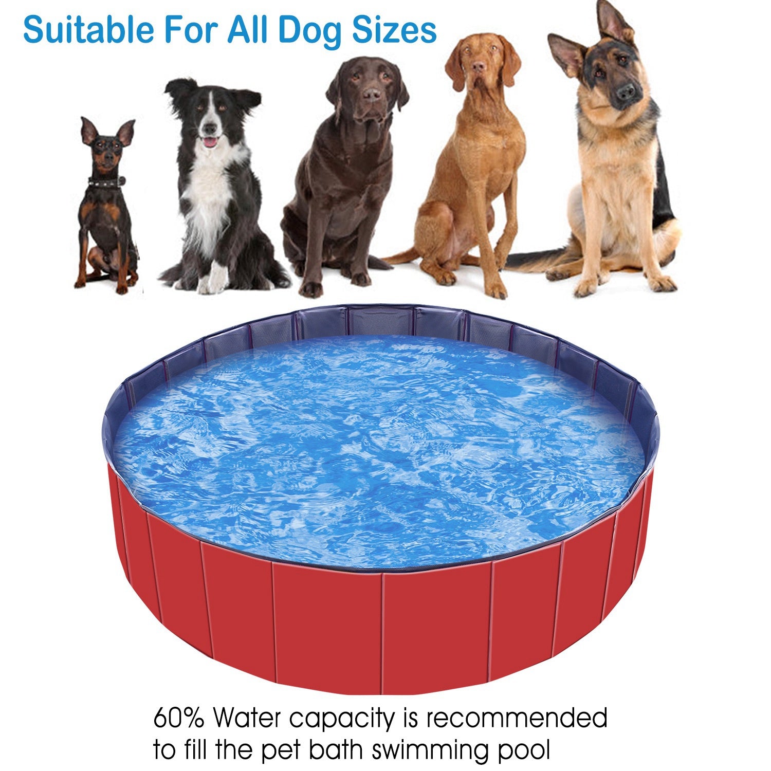 Red pet swimming pool with blue water, shown with multiple dog sizes above