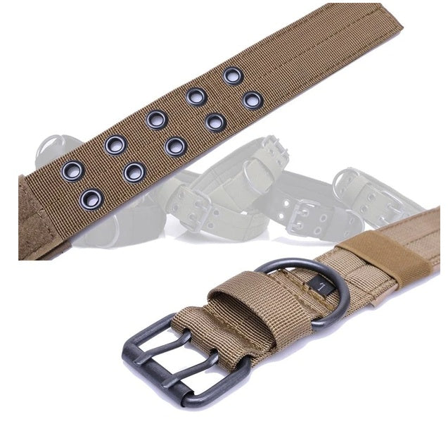 Brown nylon dog collar with multiple grommet holes and black metal buckle