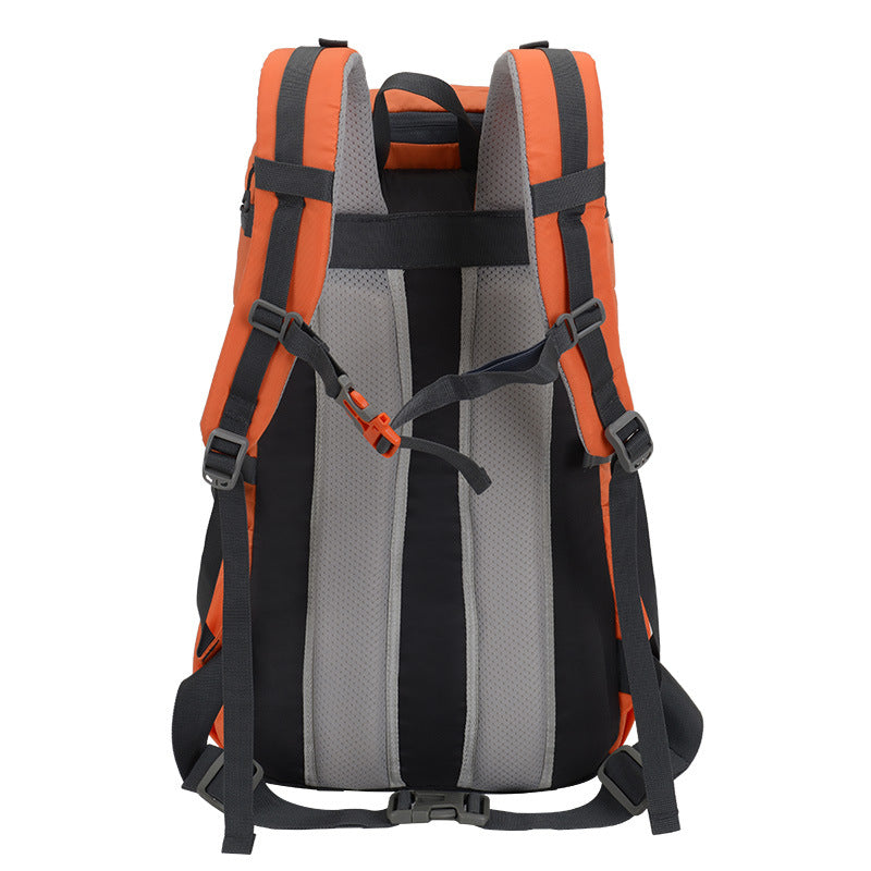 Orange hiking backpack back view with gray mesh panels and adjustable straps