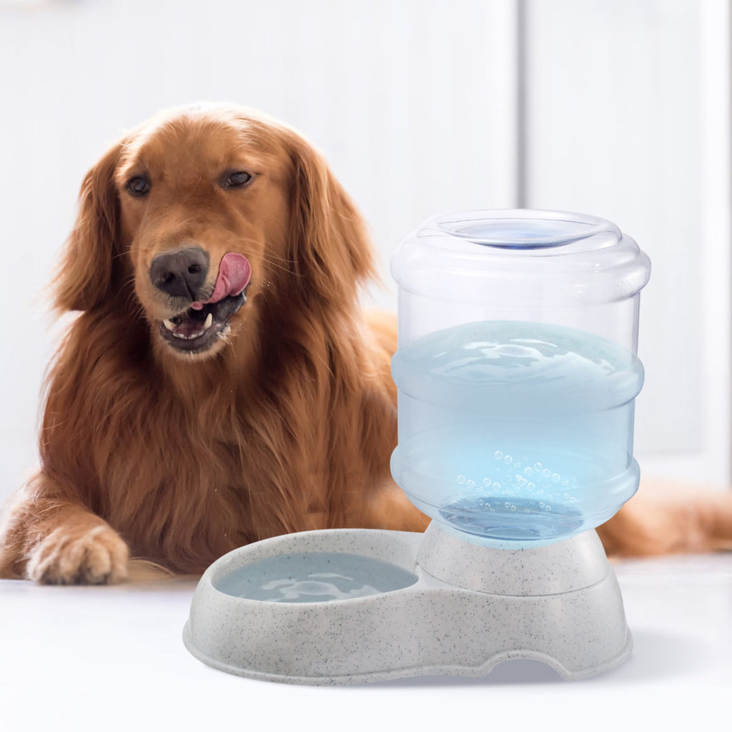 Gravity pet water dispenser with clear reservoir and light gray bowl base