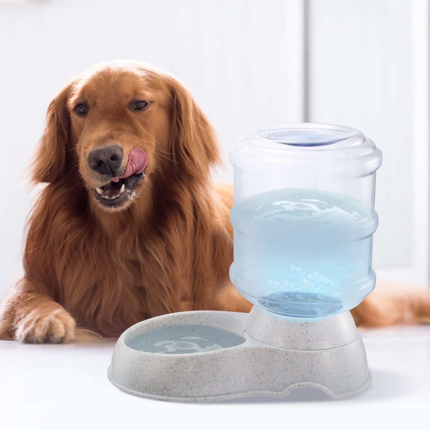 Gravity pet water dispenser with clear reservoir and light gray bowl base