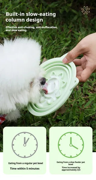 Mint-green collapsible slow-feeder pet bowl with circular pattern and grippy base