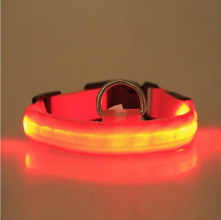Red fabric LED halo pet collar with bright red-orange glow and metal D-ring